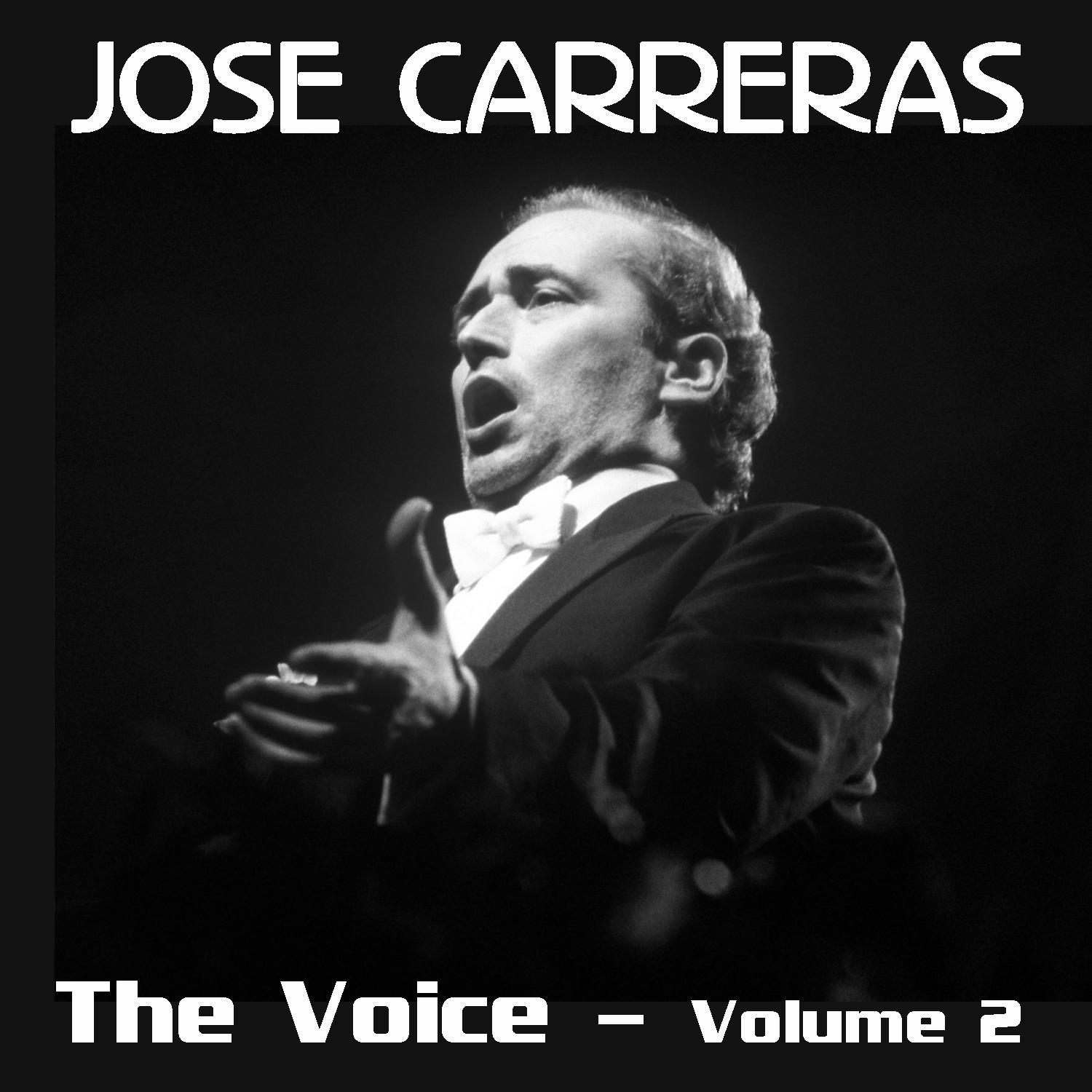 The Voice Volume 2专辑
