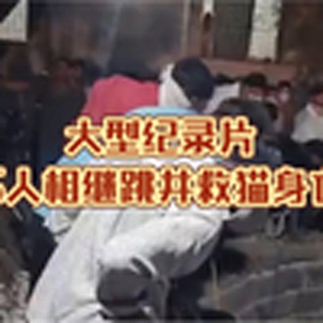大型纪录片《5人相继跳井救猫身亡》