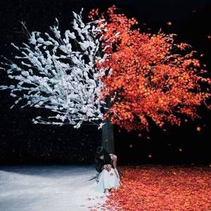 【Aimer】everlasting snow (instrumental)