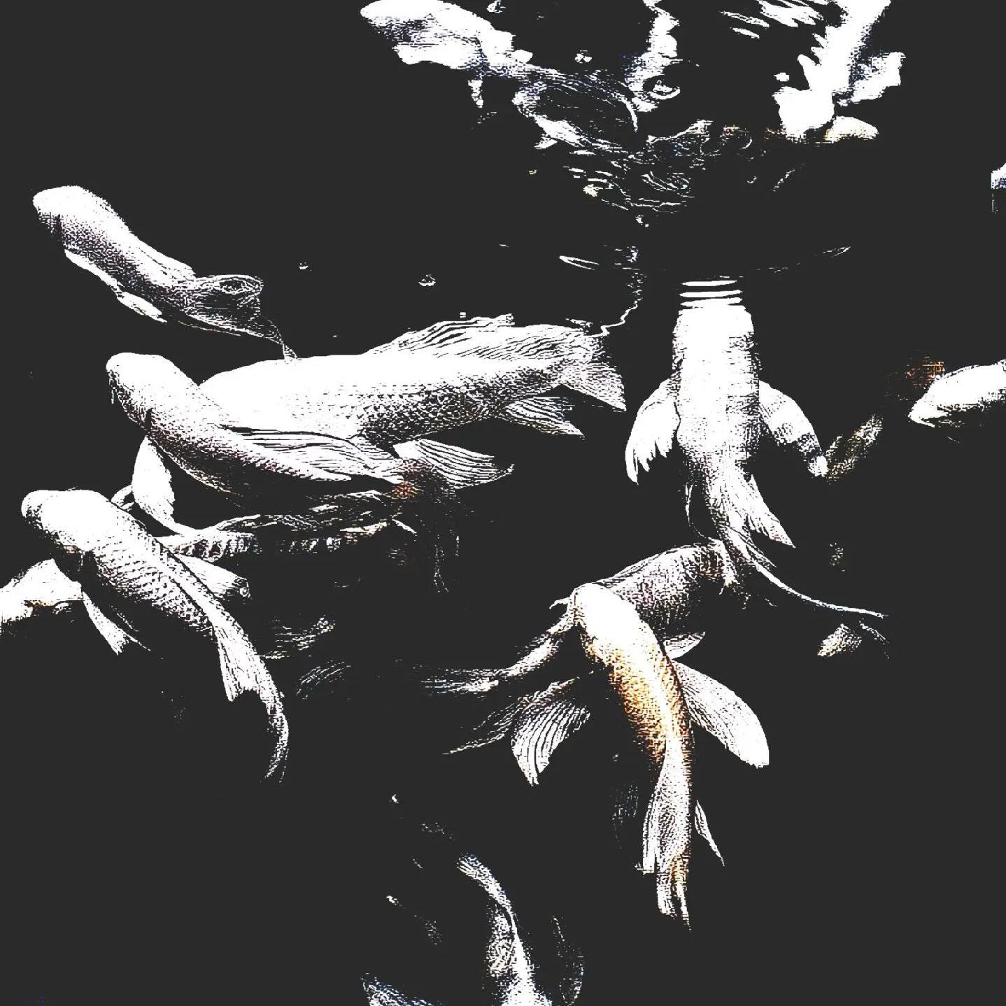 THORN