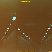 窗口 / WINDOW