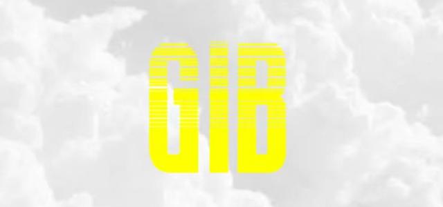 IBING & GAO