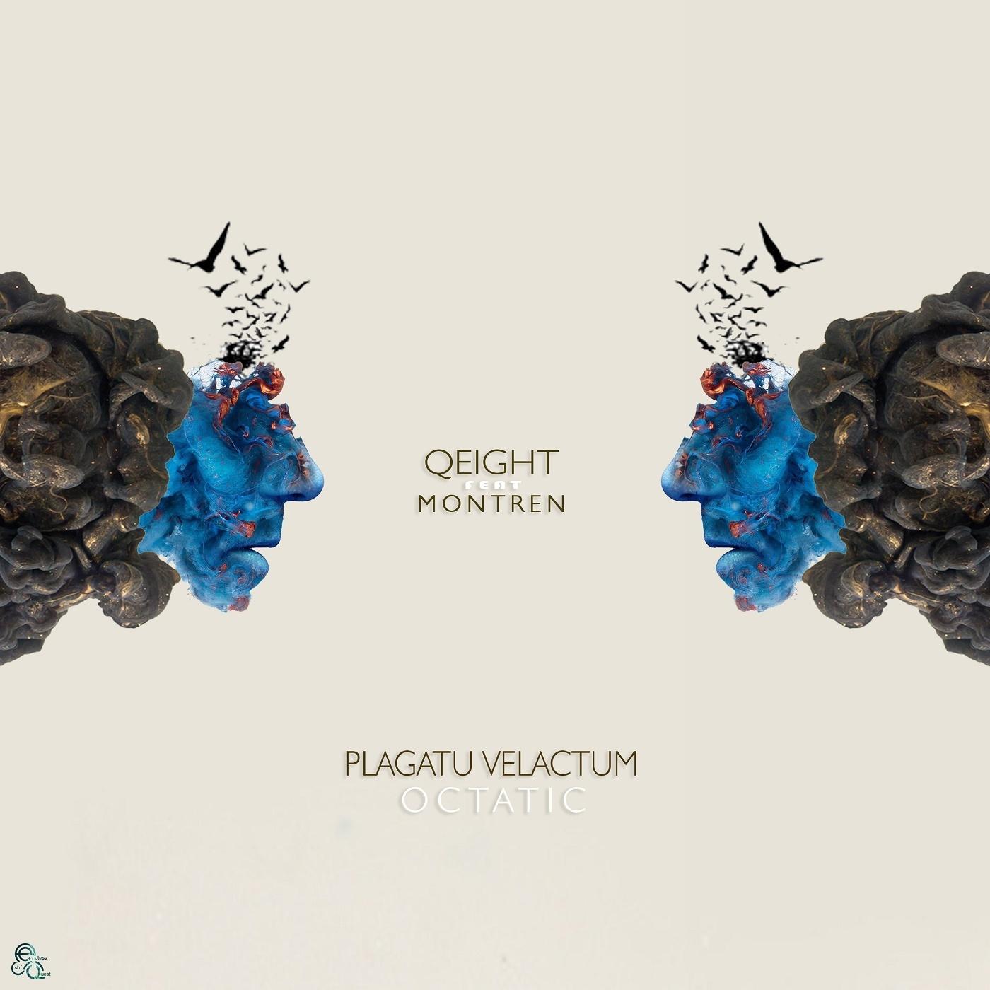 Plagatu Velactum. Octatic