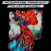 Schwarzes Fragment - The Lack of Yourself (Soul in Sadness Remix)