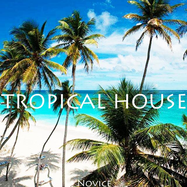 Tropical house专辑