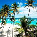 Tropical house专辑