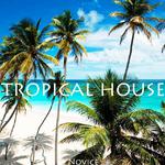 Tropical house专辑