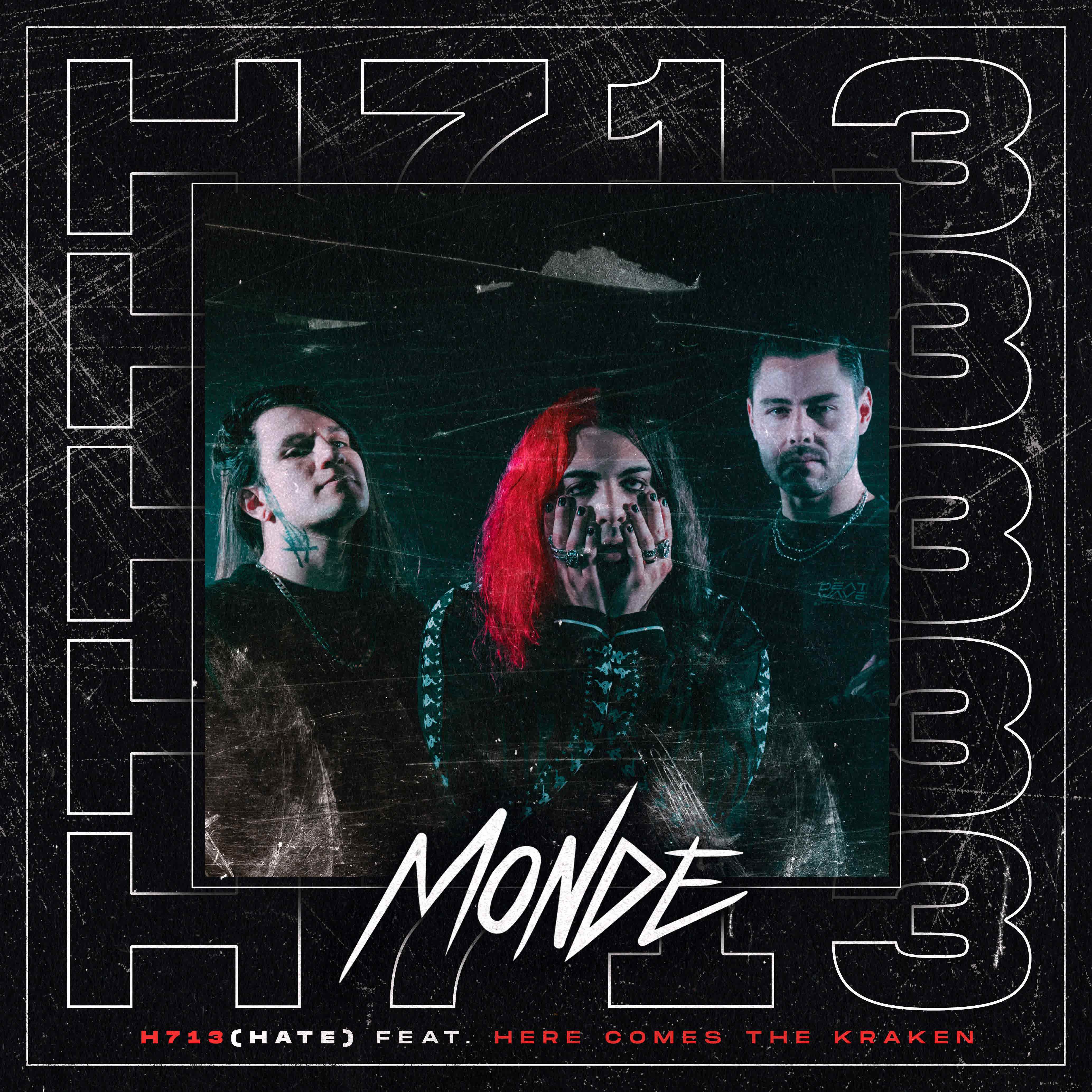 H713 (Hate)