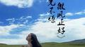 阳光不燥 微风正好专辑
