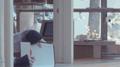 week by week专辑