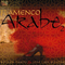 Flamenco Arabe, Vol. 2专辑