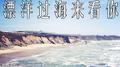 漂洋过海来看你专辑