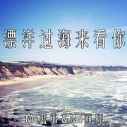 漂洋过海来看你