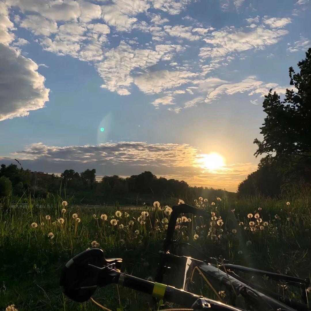 Ban đầu V2(本行三件事猎龙驯龙调教龙)