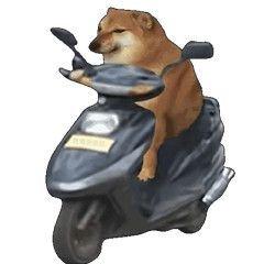 垃圾堆歌单，什么都有 | 在线播放 | 网易云音乐