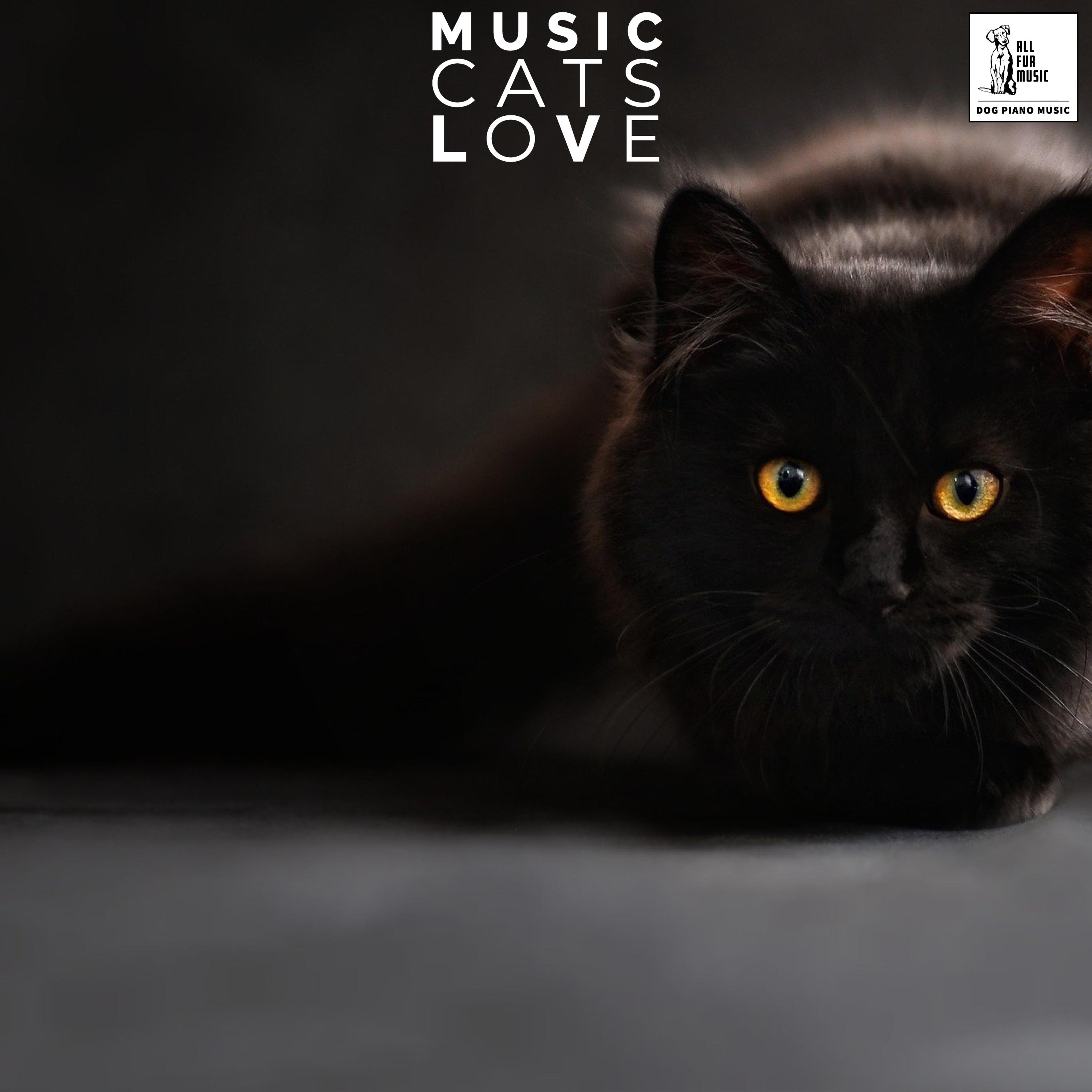 Music Cats Love