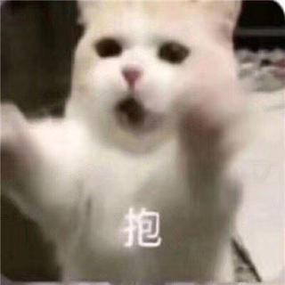 甜甜的说唱艺术《rap》