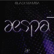 Black Mamba（翻自 aespa）