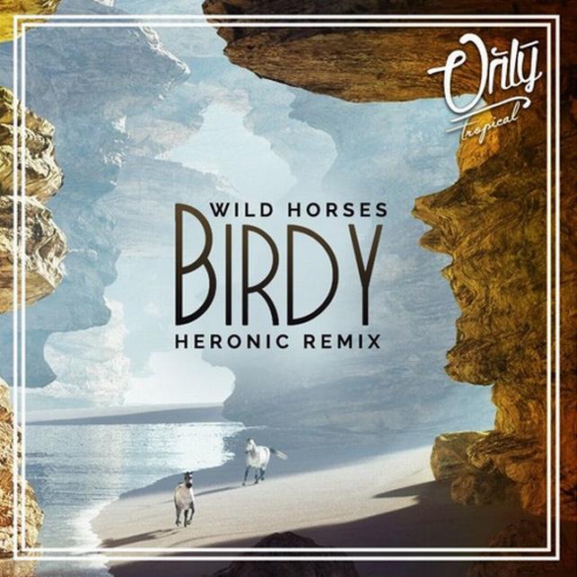 Wild Horses (Heronic Remix)专辑