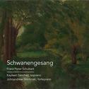 Schwanengesang专辑