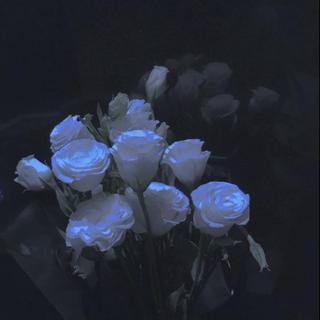 “花会再开 可我不会再来”