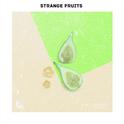 Compilação Músicas Mais Tocadas de Strange Fruits专辑