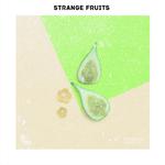 Compilação Músicas Mais Tocadas de Strange Fruits专辑