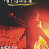 原版伴奏   Spirit Indestructible - Nelly Furtado (karaoke) [有和声]