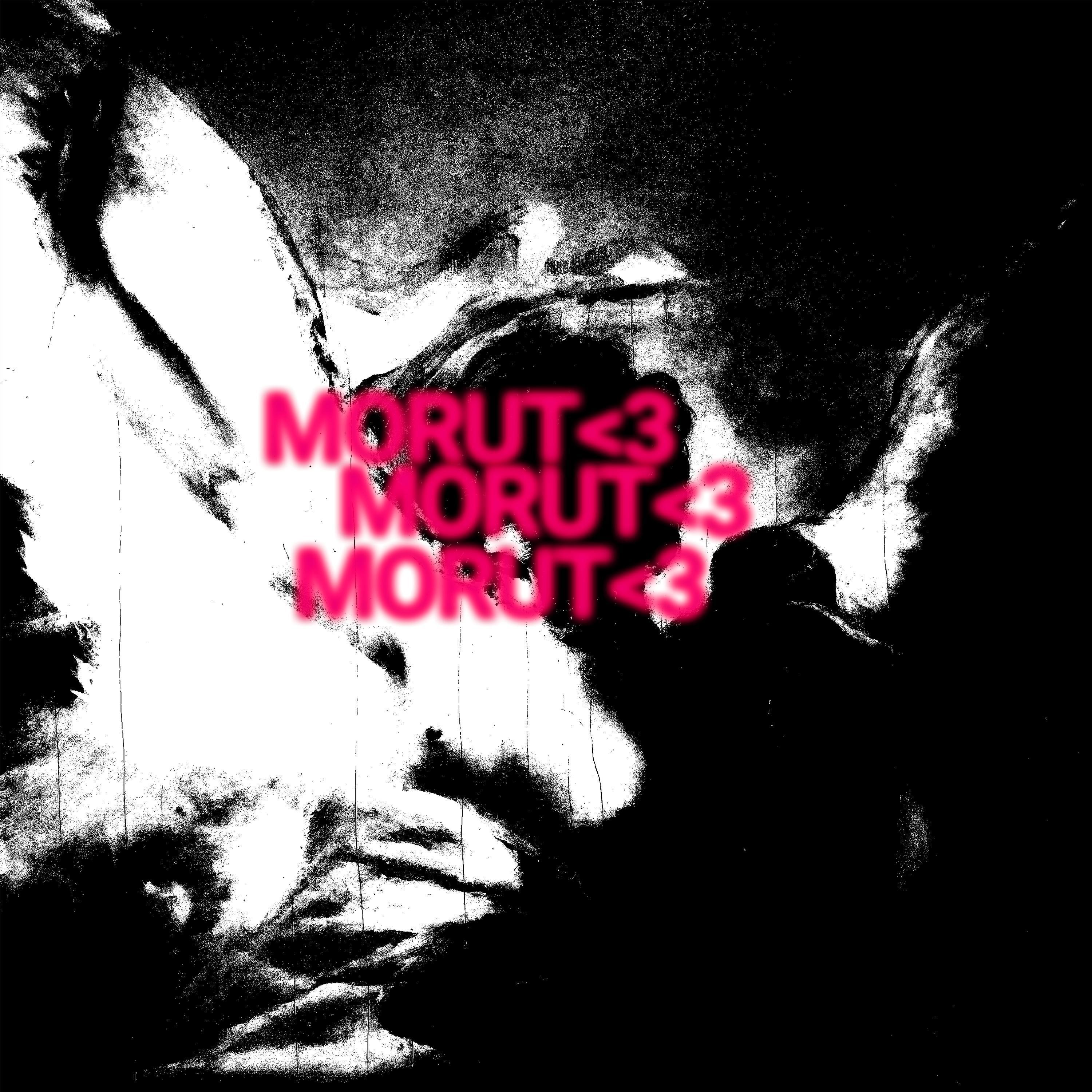Morute Singer Sick - Morute - 专辑 - 网易云音乐
