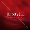 李梦琦 - Jungle