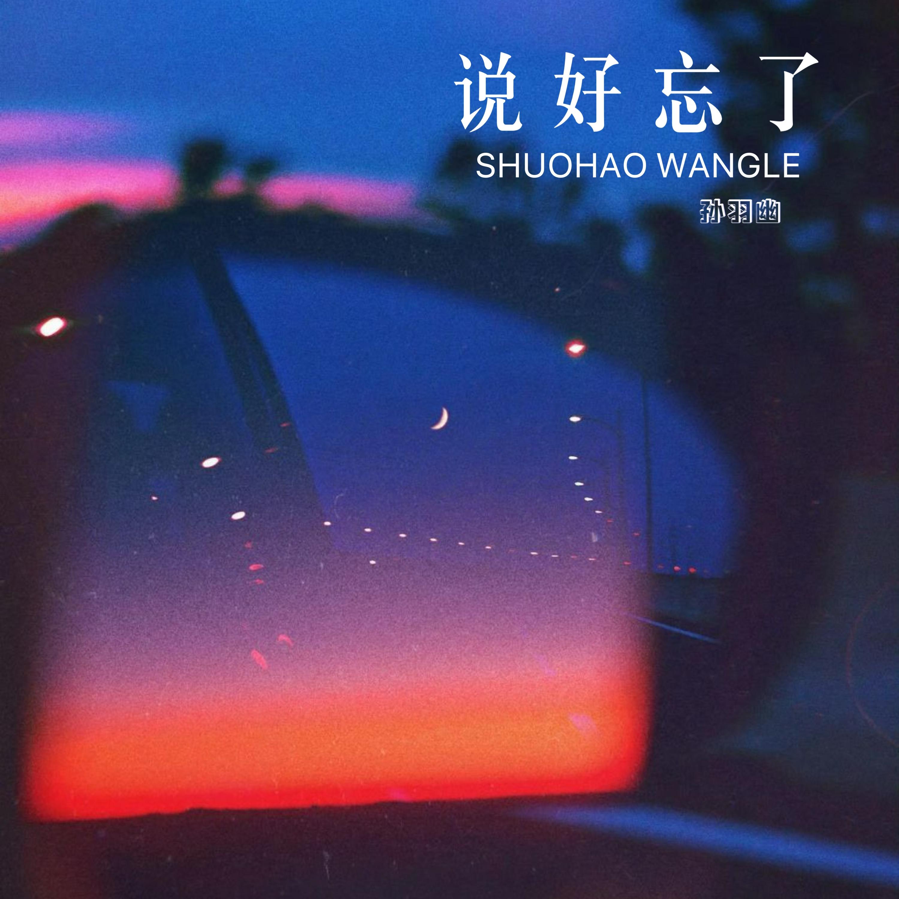 说好忘了