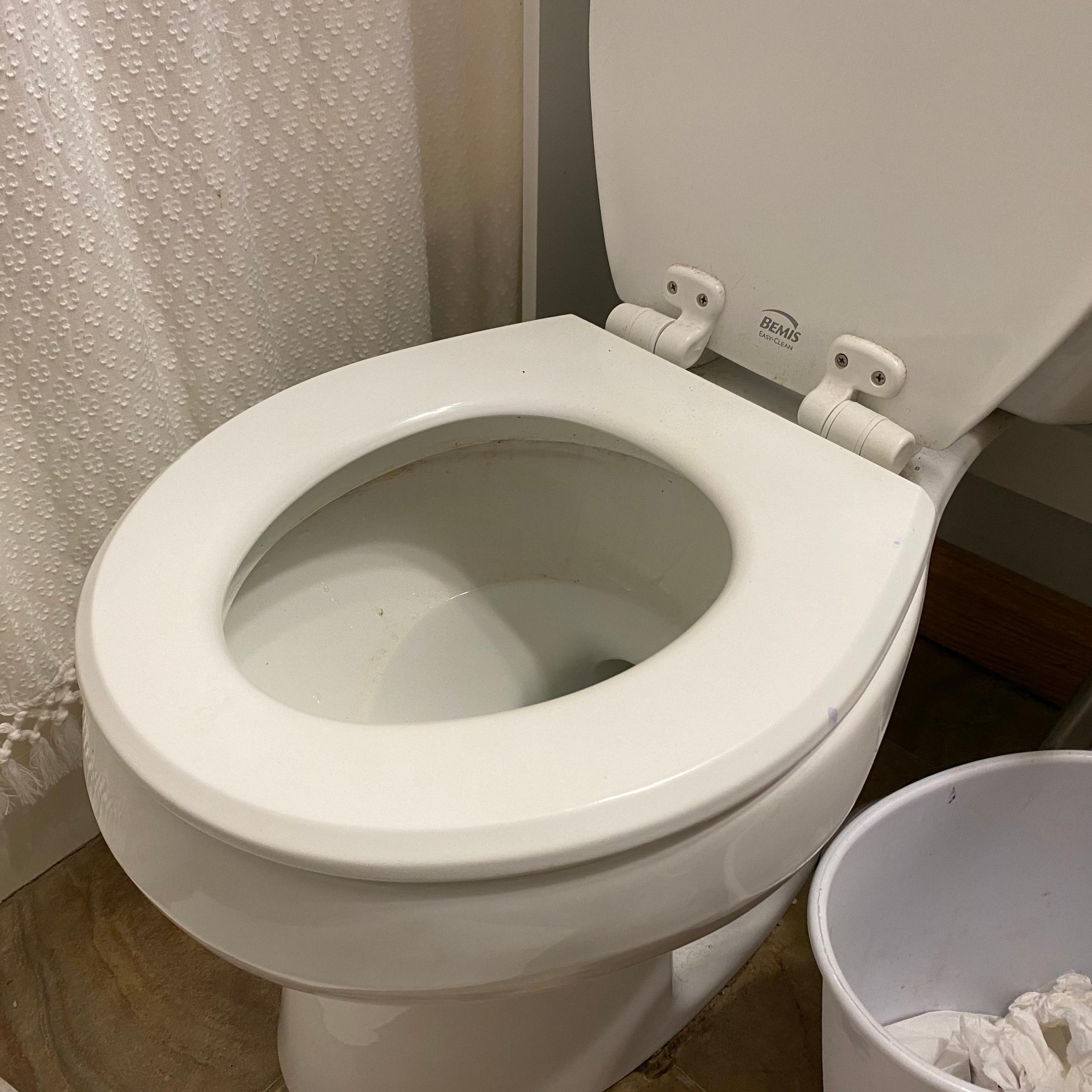 I Took a Real Good Dump Today