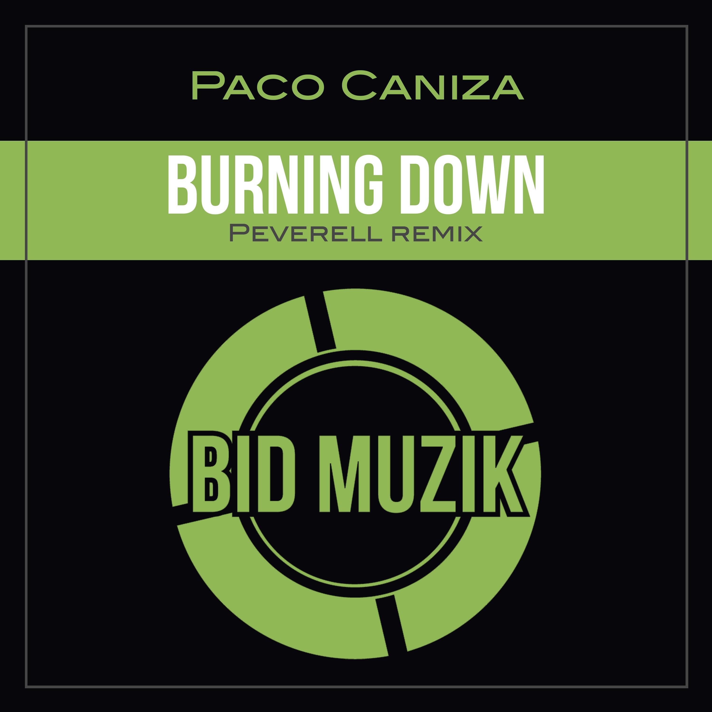 Burning Down (Peverell Remix)