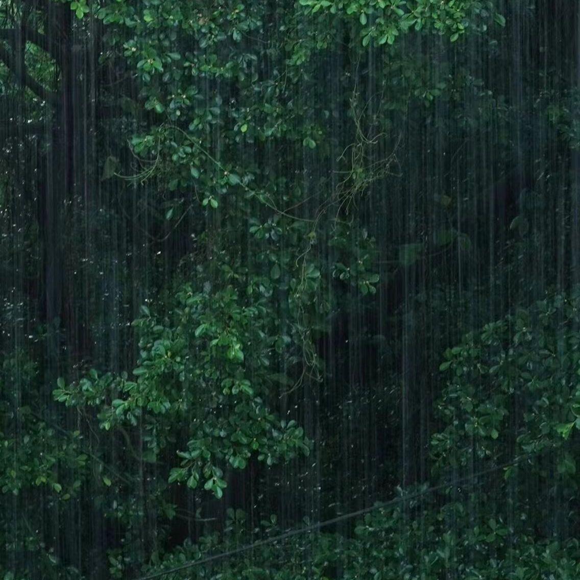 森呼吸