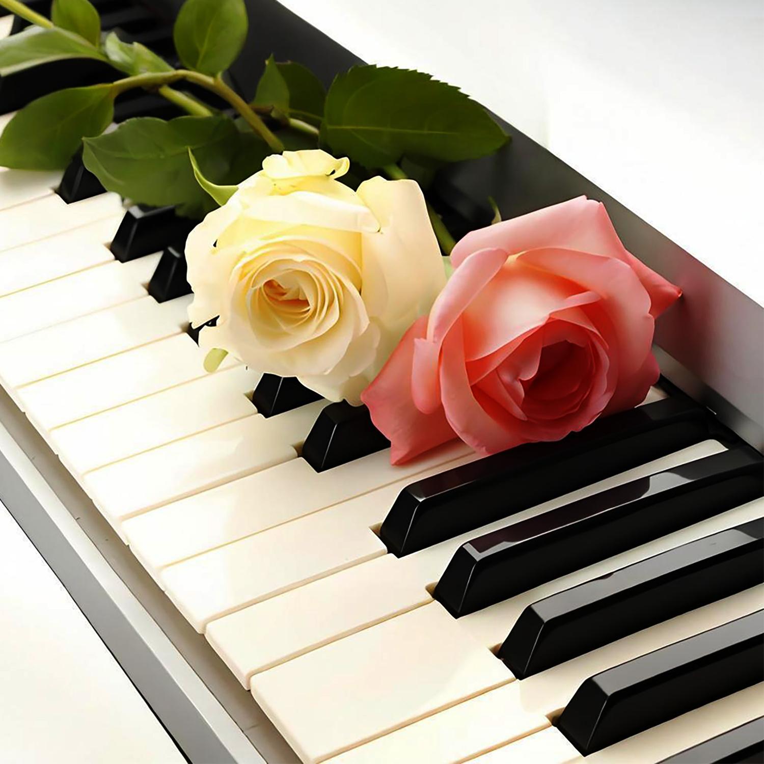 C大调卡农 (约翰·帕赫贝尔)