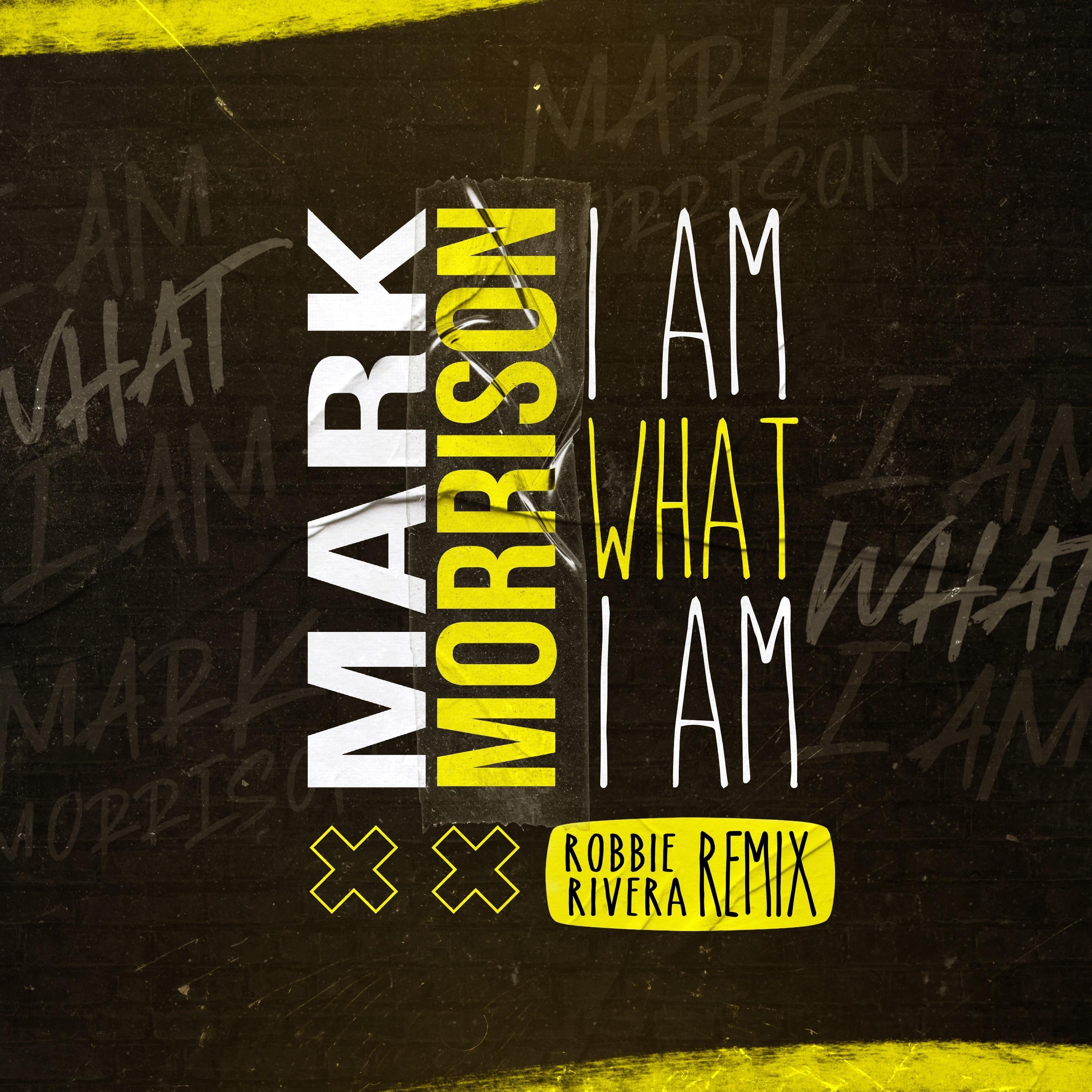 I Am What I Am (Robbie Rivera Remix)