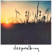 Sleepwalking