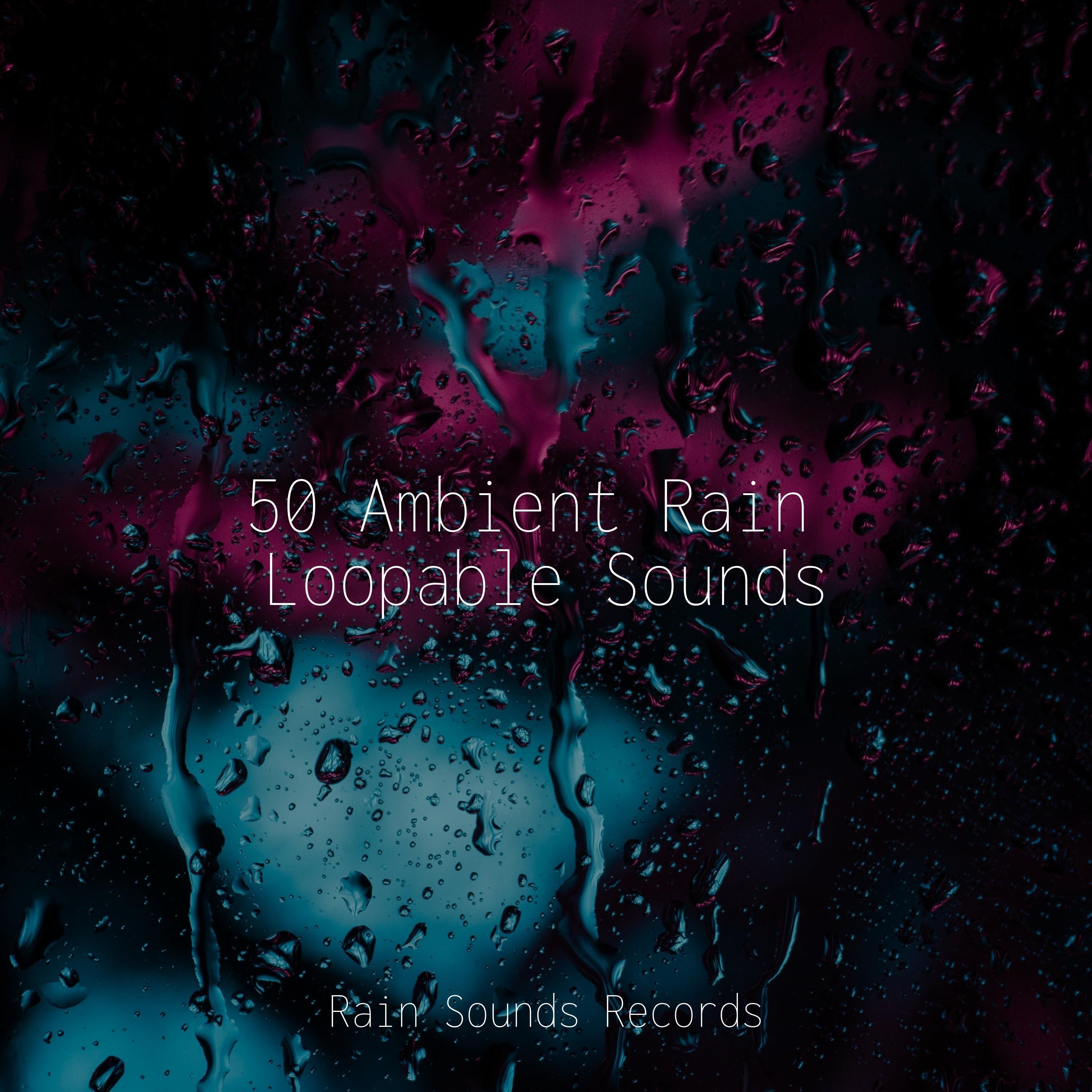 50 Ambient Rain Loopable Sounds - Sounds of Nature Relaxation - 专辑 - 网易云音乐