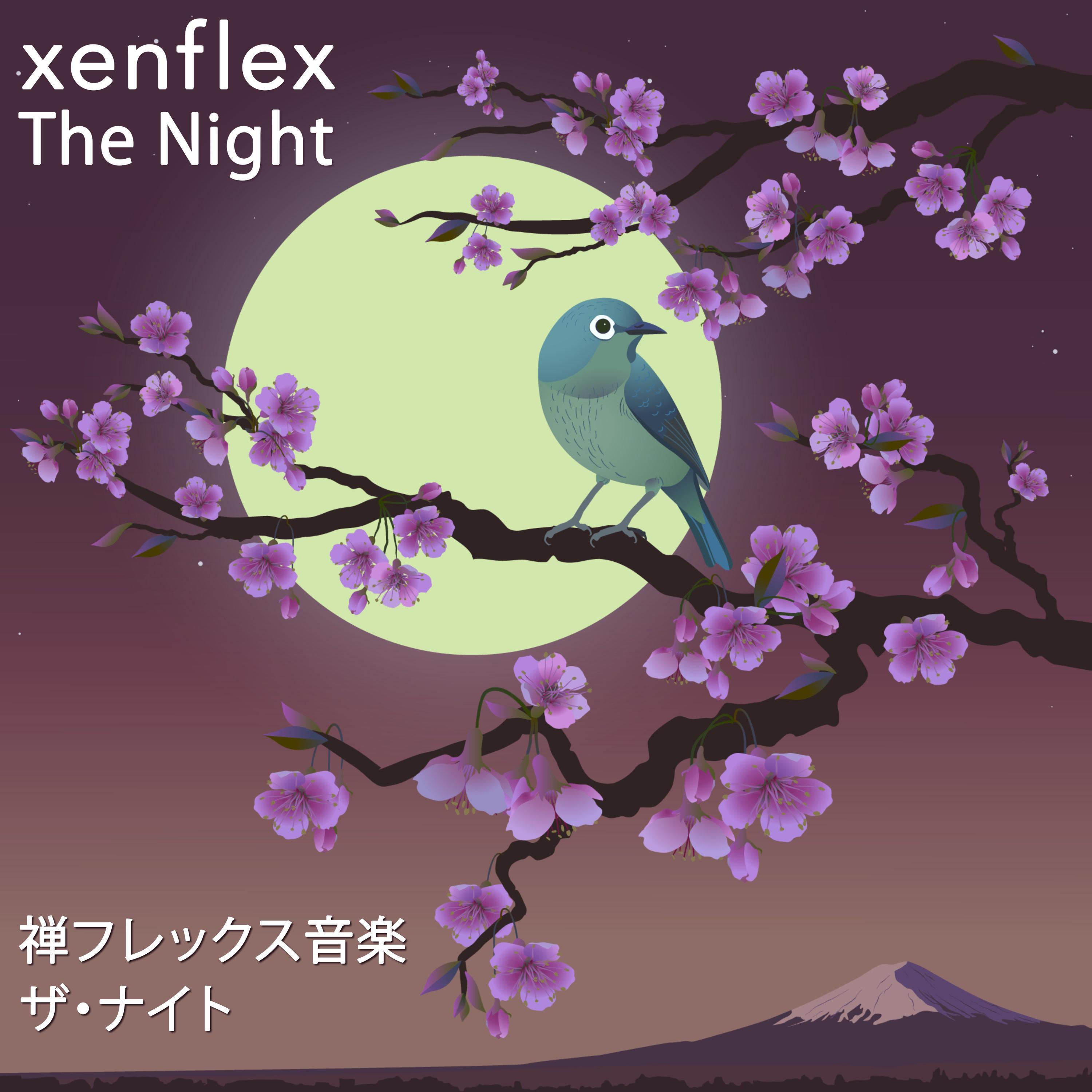 The Night