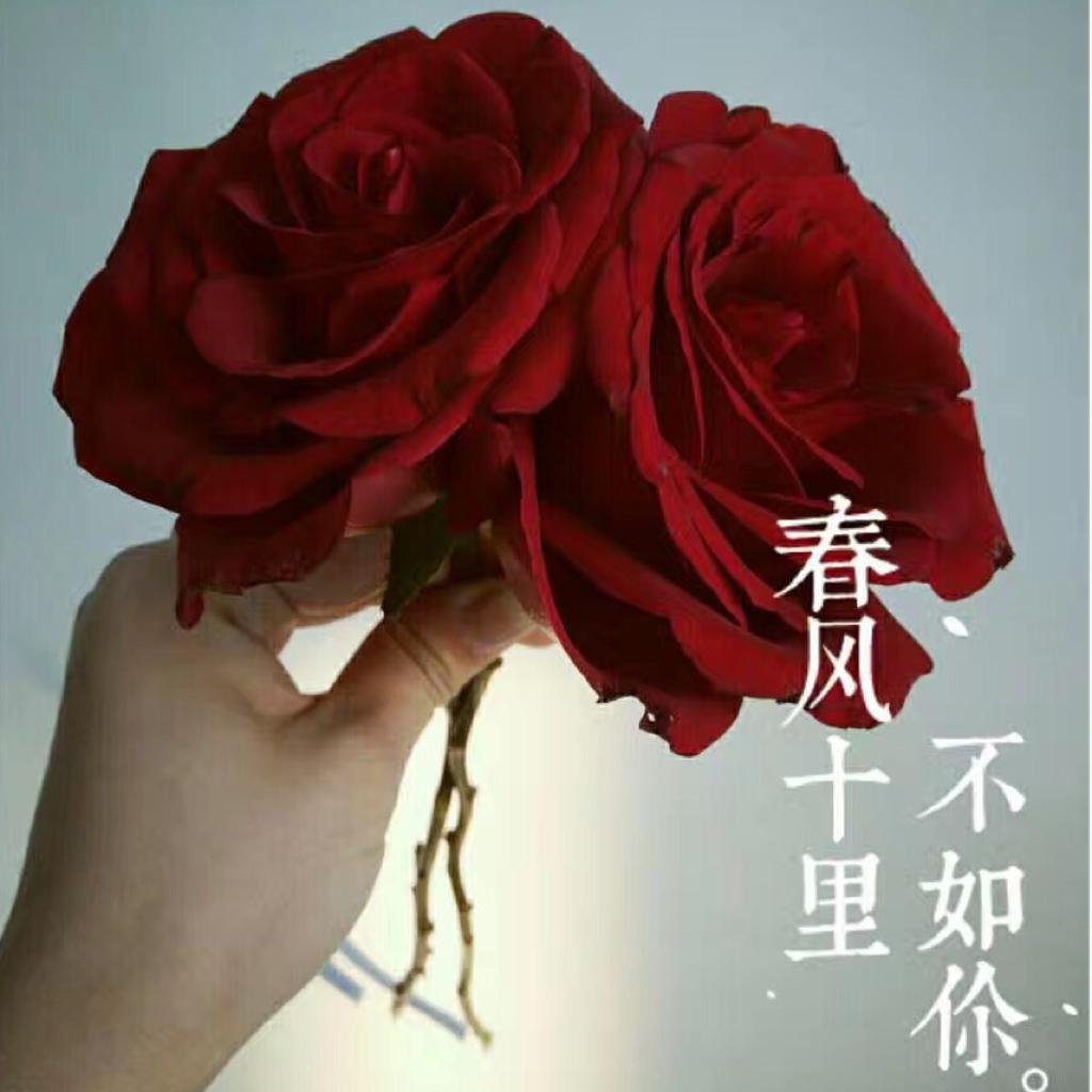 【民谣】你是夏夜的晚风 吹乱一场大梦
