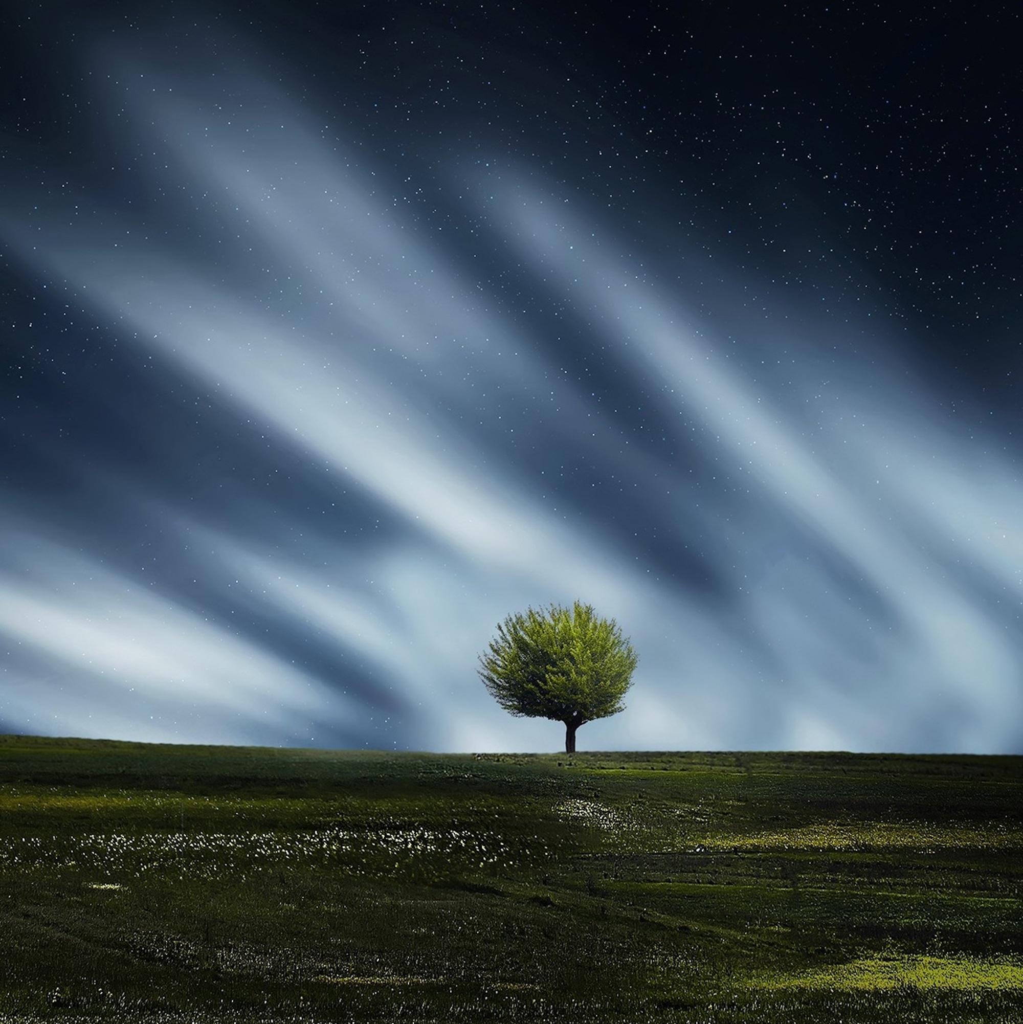 Essential Ambient Music for the Ultimate Anxiety Relief
