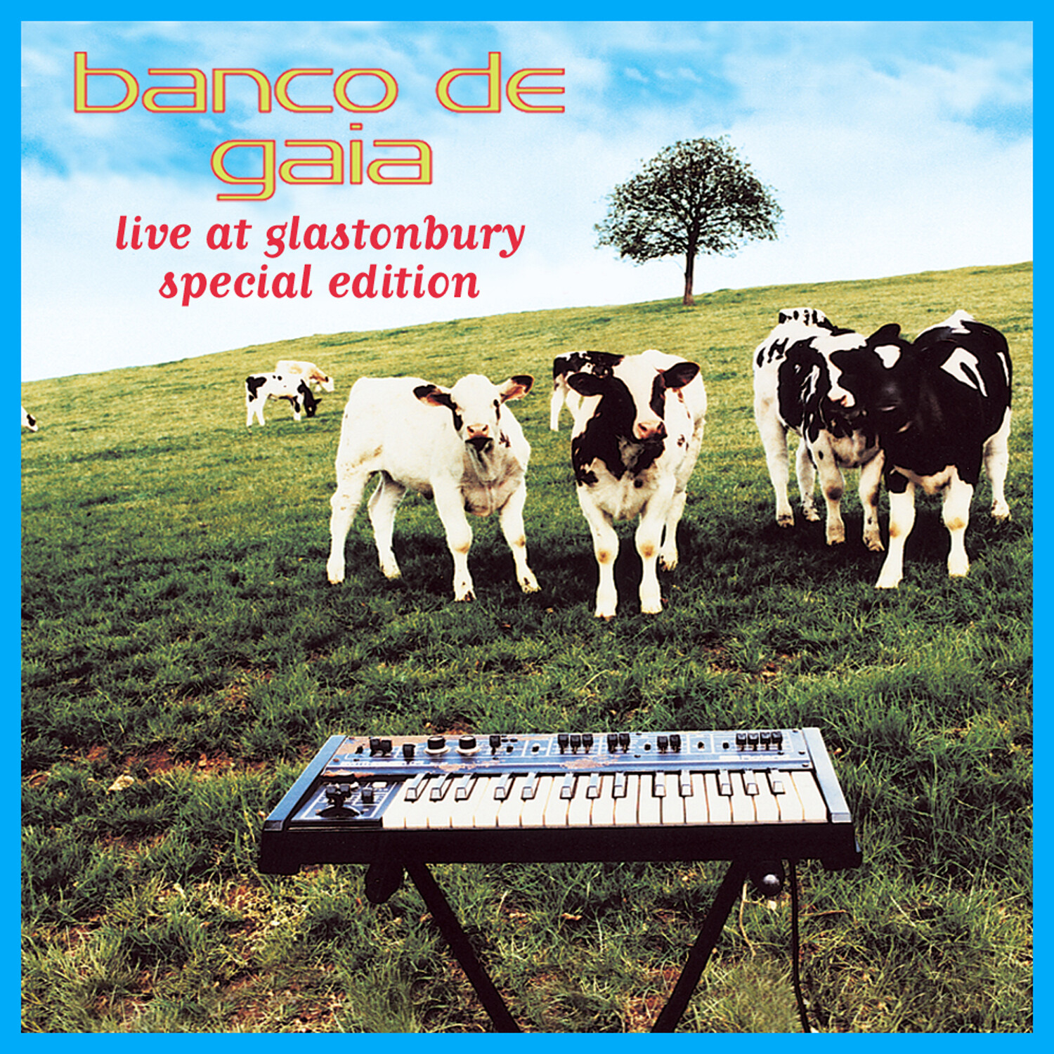 Live at Glastonbury