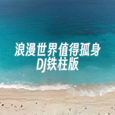 浪漫世界值得孤身（DJ铁柱版）