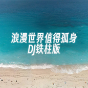 浪漫世界值得孤身（DJ铁柱版）专辑