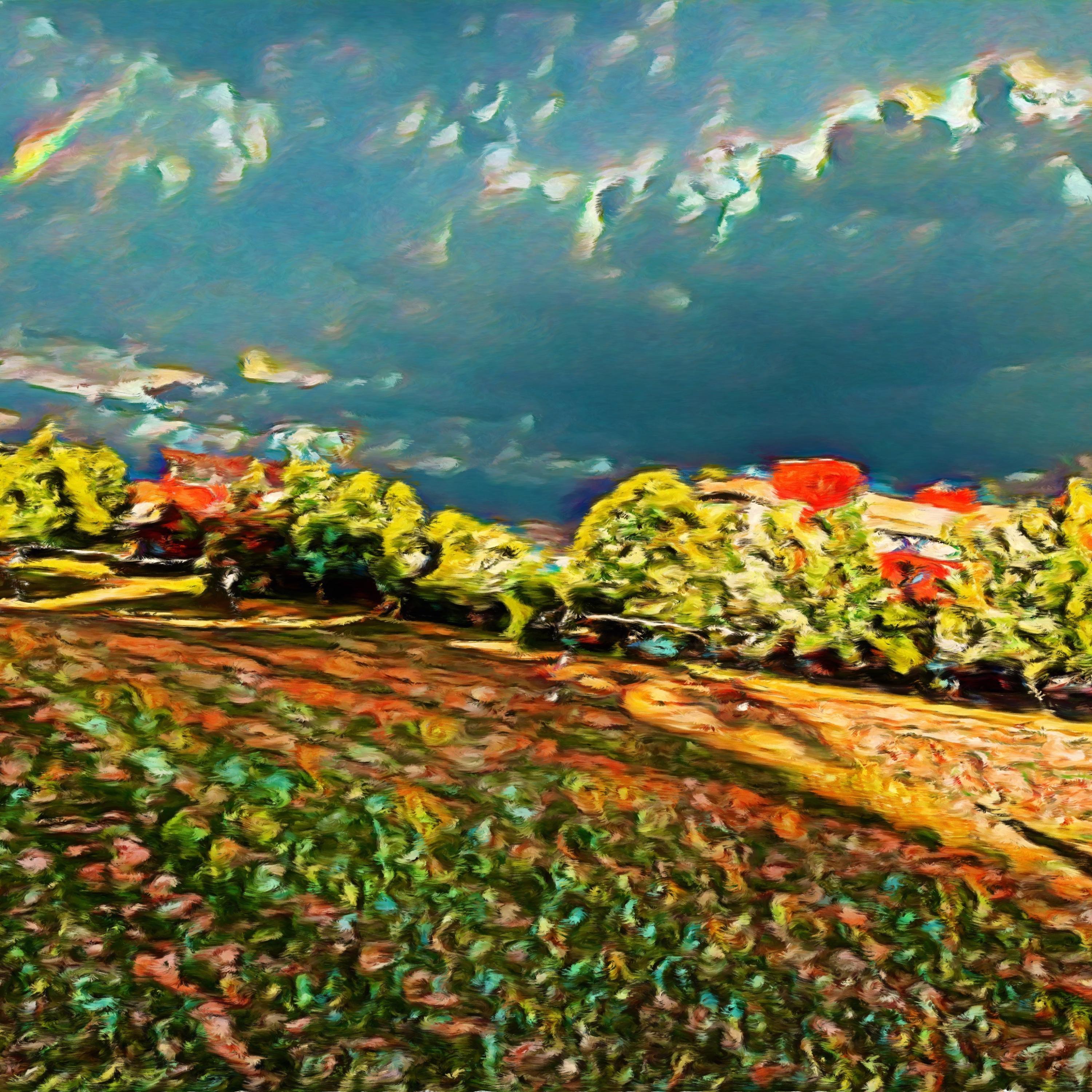 Lucid Dream