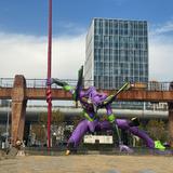 管叶冧