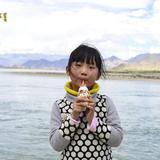 李雨垚