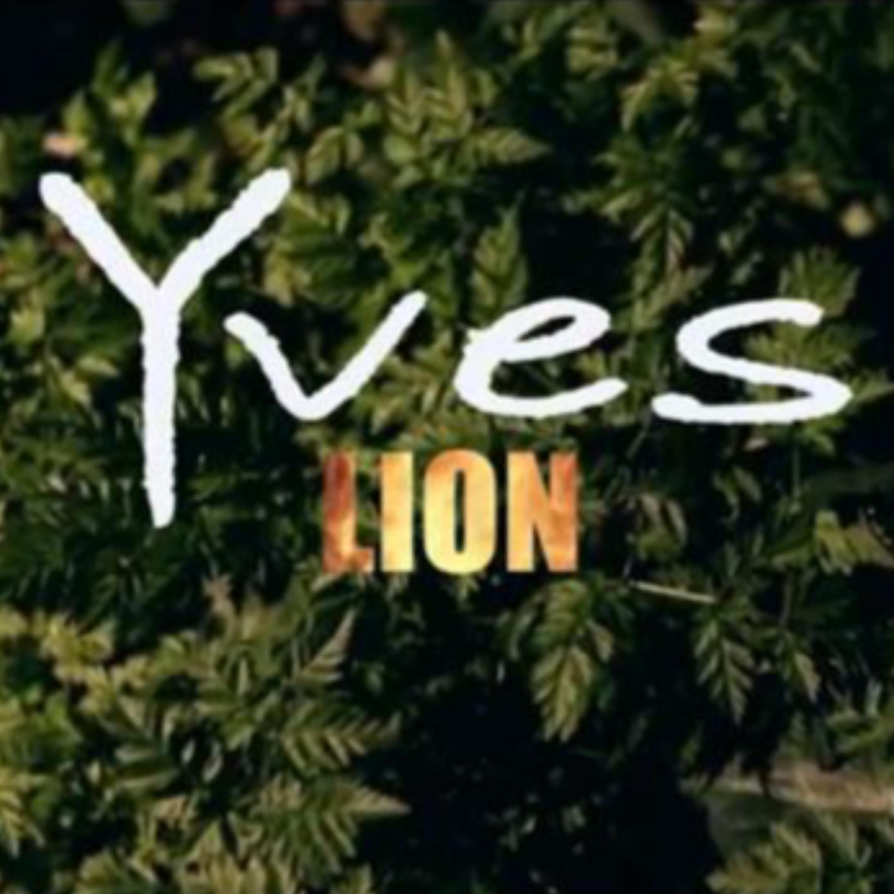 Yves Hdz - Lion