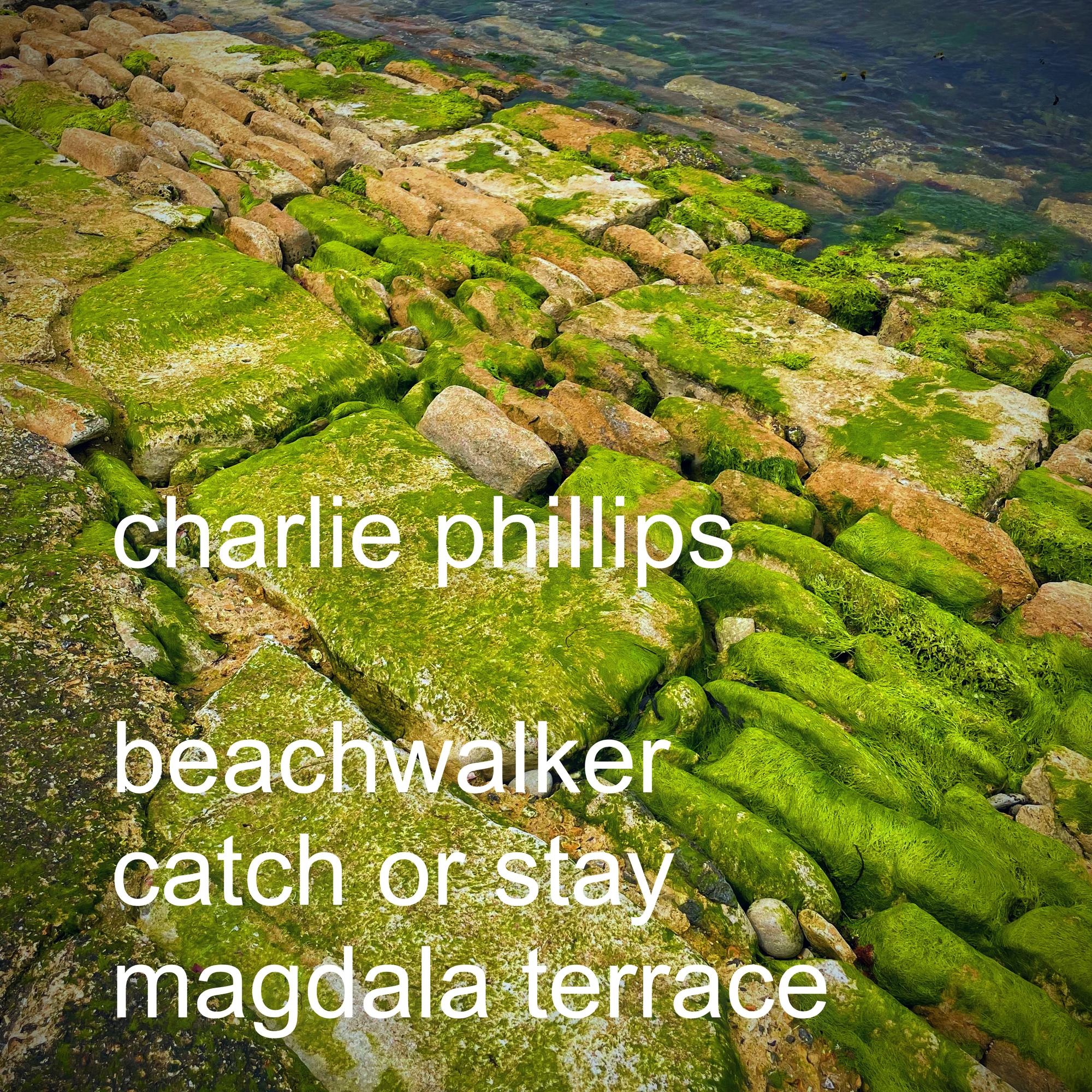 Beachwalking
