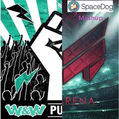 W&W / Reez - Put Em Up In Arena(SpaceDog Mashup)